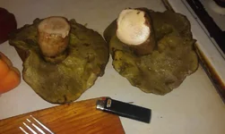 IMAG0434.webp