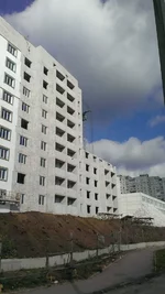 IMAG0522.jpg