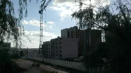 IMAG0521.webp