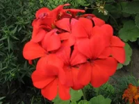 1-IMG_5848.webp