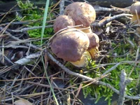 30102013057.webp