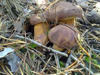 30102013059.webp