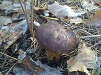 30102013060.webp