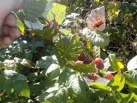IMG_20140928_162503_resize.webp