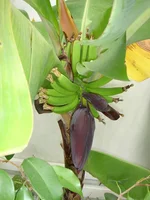 DSC02991.webp
