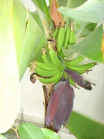 DSC03004.webp