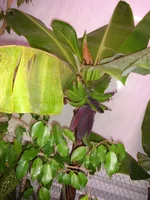 DSC03022.webp