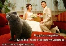 PzpQn8ja4hk.webp