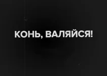 .webp