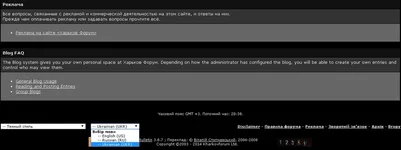 forLica.webp