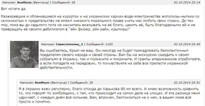 31.webp