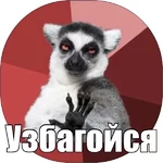 QG4MVMBYtxA.webp