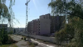 IMAG0526.webp