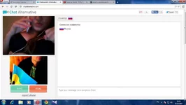 33.webp