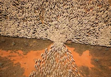 through_the_gate-brenda.webp
