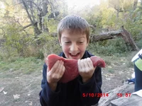  в Шаровку 160.webp