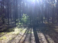 05102014793.webp
