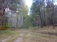05102014796.webp