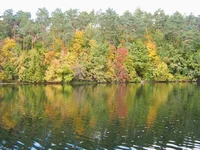 IMG_5120_1.jpg