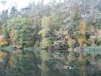 IMG_5145_1.webp