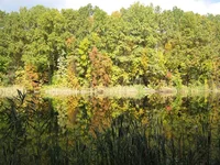 IMG_5152_1.webp