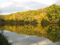 IMG_5211_1.webp