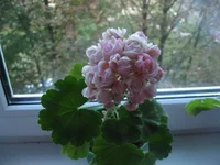 IMG_8157.webp