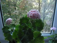 IMG_8161.webp