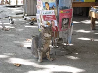 IMG_3772.webp