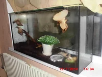  вещи 048.webp