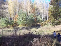 100_5270.webp