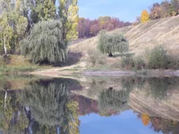 100_5417.webp