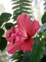 PA067922.webp PA067922.webp