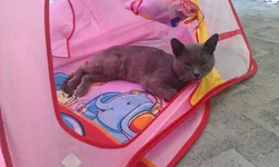 IMAG3549.webp