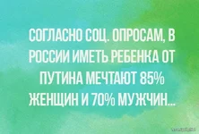 10653321_282972261912457_5319899333419379643_n.webp