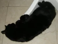 DSCN9148.webp