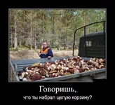 1410485660_1-1.webp