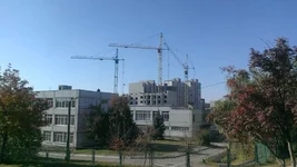 IMAG0537[1].webp