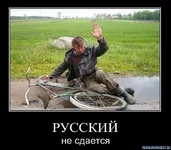 e622429-huylo.webp