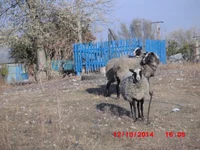 поход в Варваровку -меловые горки 174.jpg