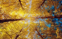 nastol.com.ua-56750.webp