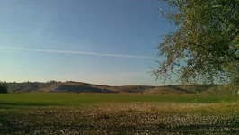 IMAG2979.webp