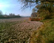 026.webp