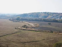IMG_5251_1.jpg