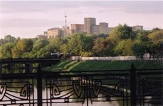 fff2.webp