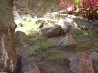 7.webp