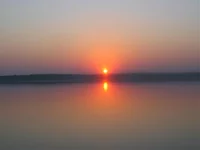 IMG_2266.webp