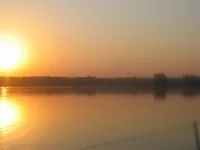 IMG_2275.webp