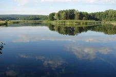 C_Дамбы.webp