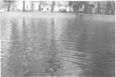 water.jpg